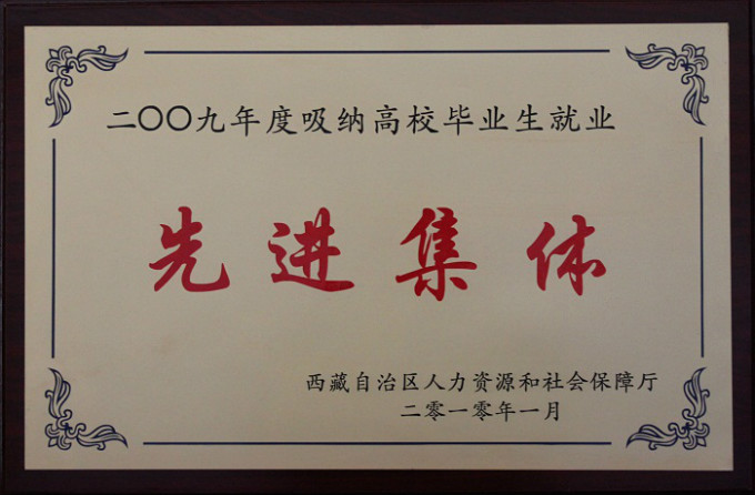 2009吸納高校畢業生就業先進集體