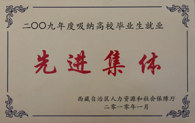 2010吸納高校畢業生就業先進集體